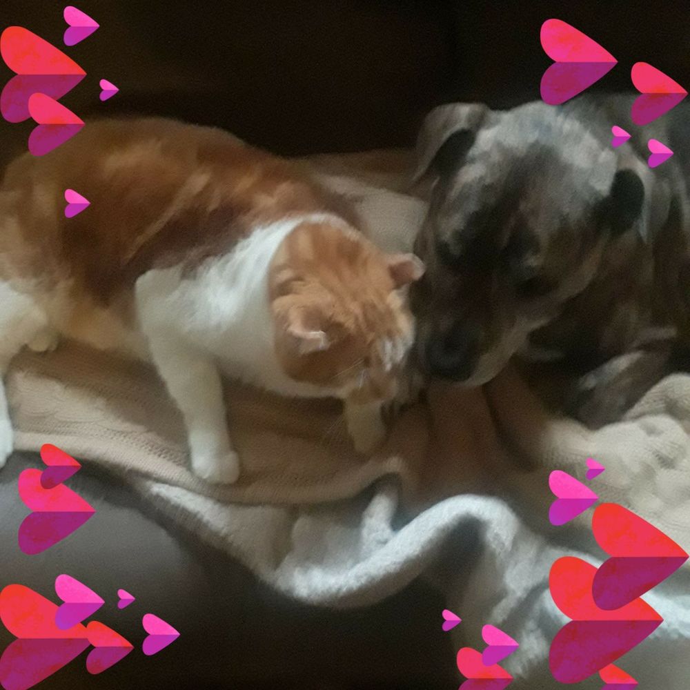 Meet your Posher, Mary